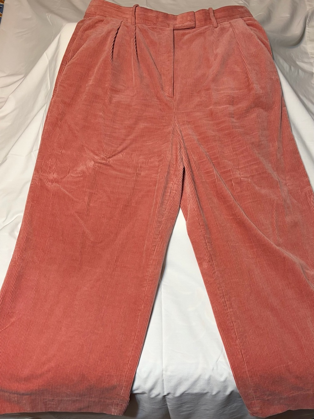 Banana Republic Rivoli Pleated Corduroy Wide-Leg Pants – Size 18